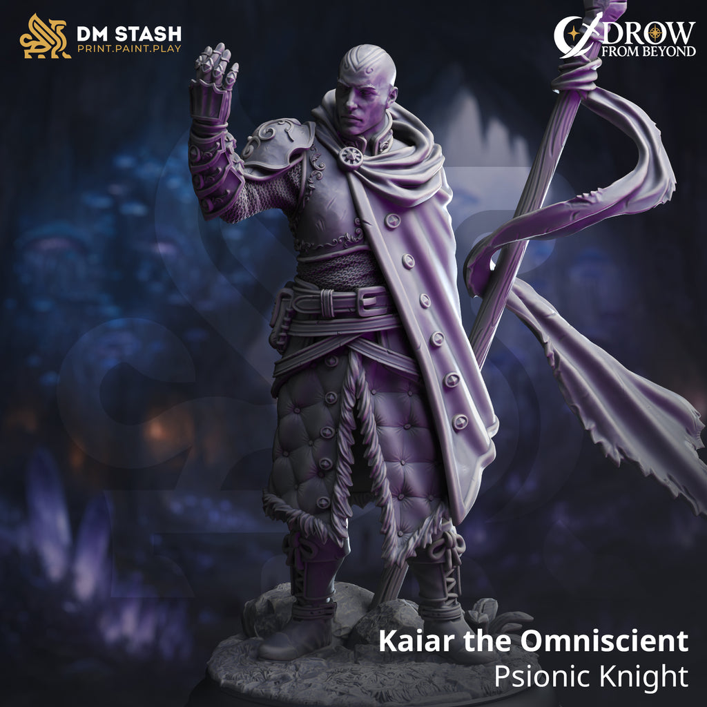 Kaiar the Omniscient - Psionic Knight | DM Stash | Drow from Beyond | Fantasy | DnD | RPG | Tabletop | Gaming | Miniatures | Character Model