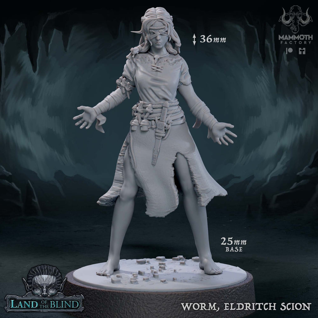 Tabletop miniature of a character named 'Worm, Eldritch Scion' with a blindfold on and there are measurements and branding on a dark background.
