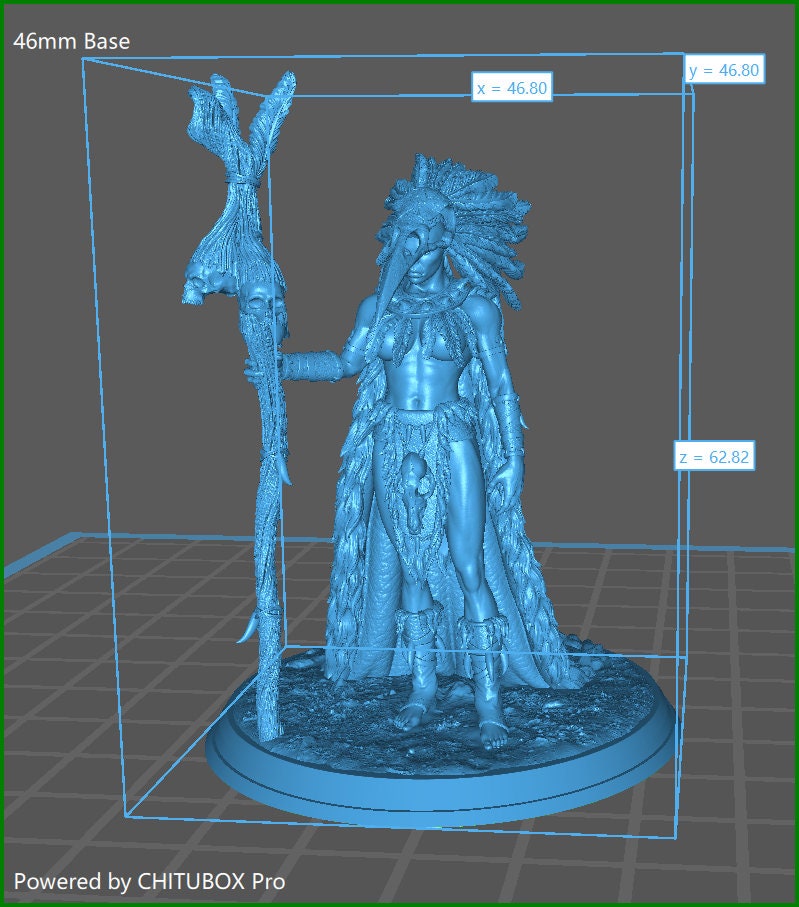 Lagath, The Seer | Stormborn Collectibles | RESIN | Fantasy | Witch | RPG | Gaming Miniatures | Shaman |