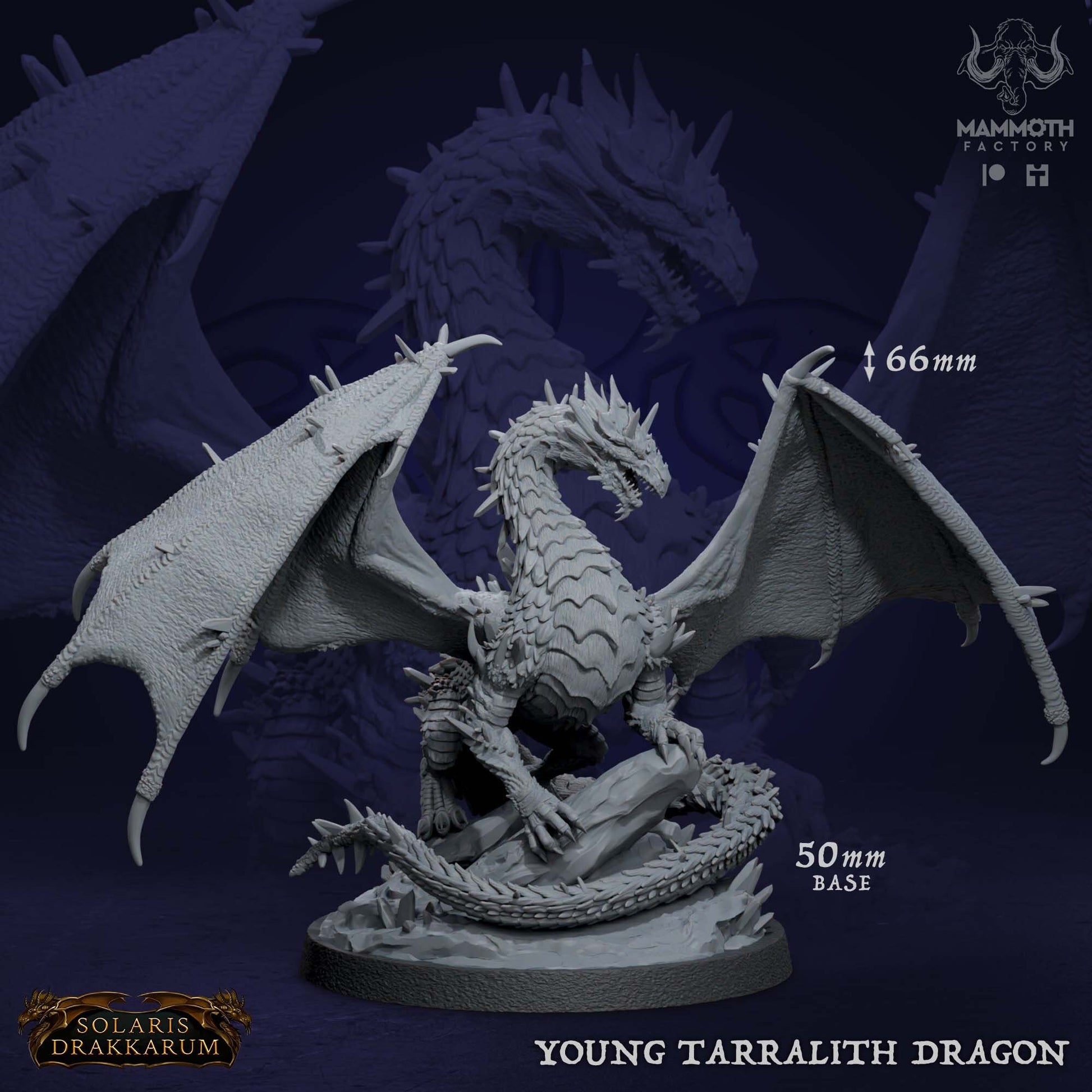 Young Tarralith Dragon | Mammoth Factory | Solaris Drakkarum | RESIN | Fantasy | DnD | RPG | Tabletop | Gaming Miniatures | Dragon