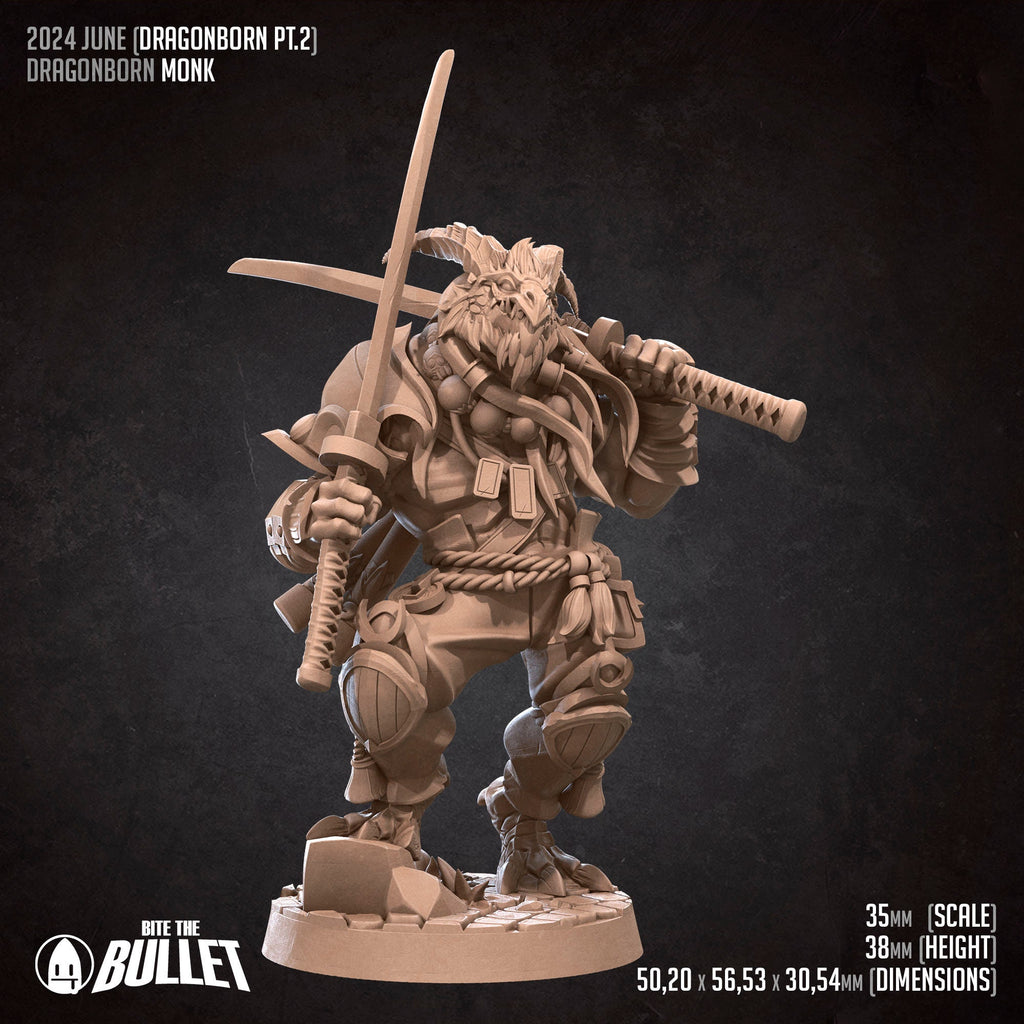 Dragonborn Monk  | Bite the Bullet | Dragonborns Pt 2 | Fantasy | DnD | RPG | Tabletop | Gaming | Miniature | Character Model | Dragonborn