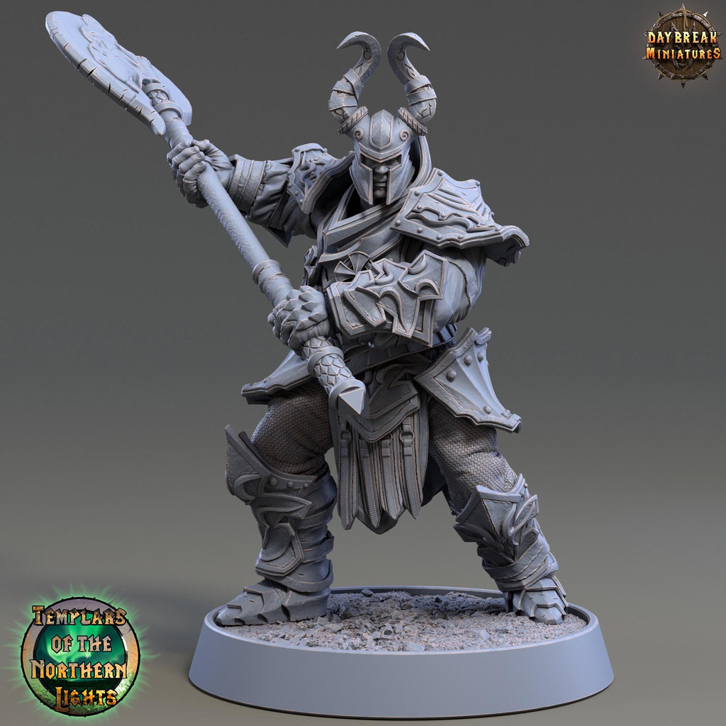 Bertil Draperinn | Daybreak Miniatures | Templars of the Northern Lights | RESIN | Fantasy | Wargaming | RPG | Gaming