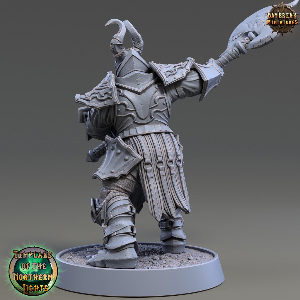 Bertil Draperinn | Daybreak Miniatures | Templars of the Northern Lights | RESIN | Fantasy | Wargaming | RPG | Gaming