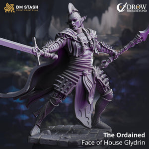 The Ordained - Face of House Glydrin | DM Stash | Drow from Beyond | Fantasy | DnD | RPG | Tabletop | Miniature | Character
