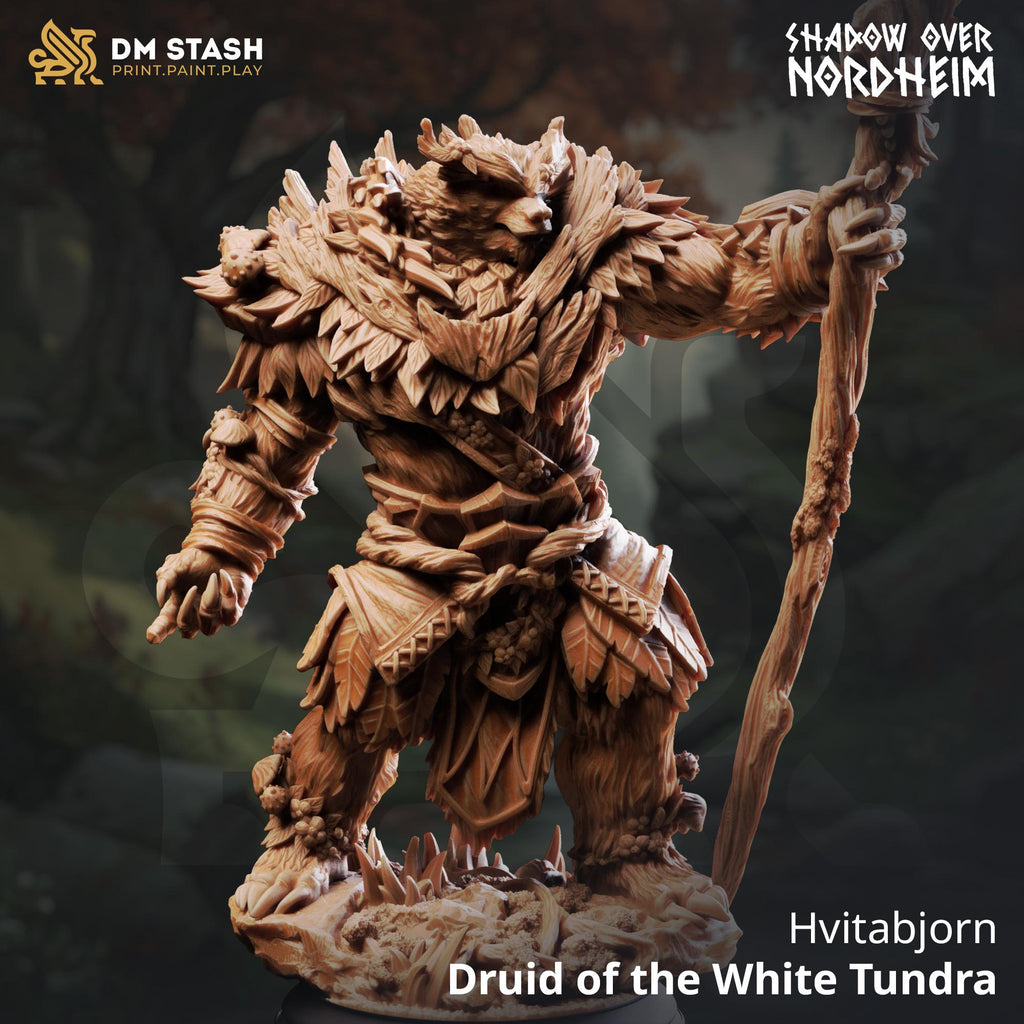 Hvitabjörn - Druid of the White Tundra | DM Stash | Shadow Over Nordheim | Fantasy | DnD | RPG | Tabletop | Character Model
