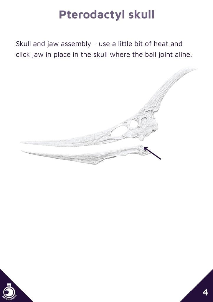Pterodactyl Skull Trophy | Props & Beyond | Lost Sky Echoes | Cosplay Gear | Roleplay Gaming | Gamer Gift | Decor