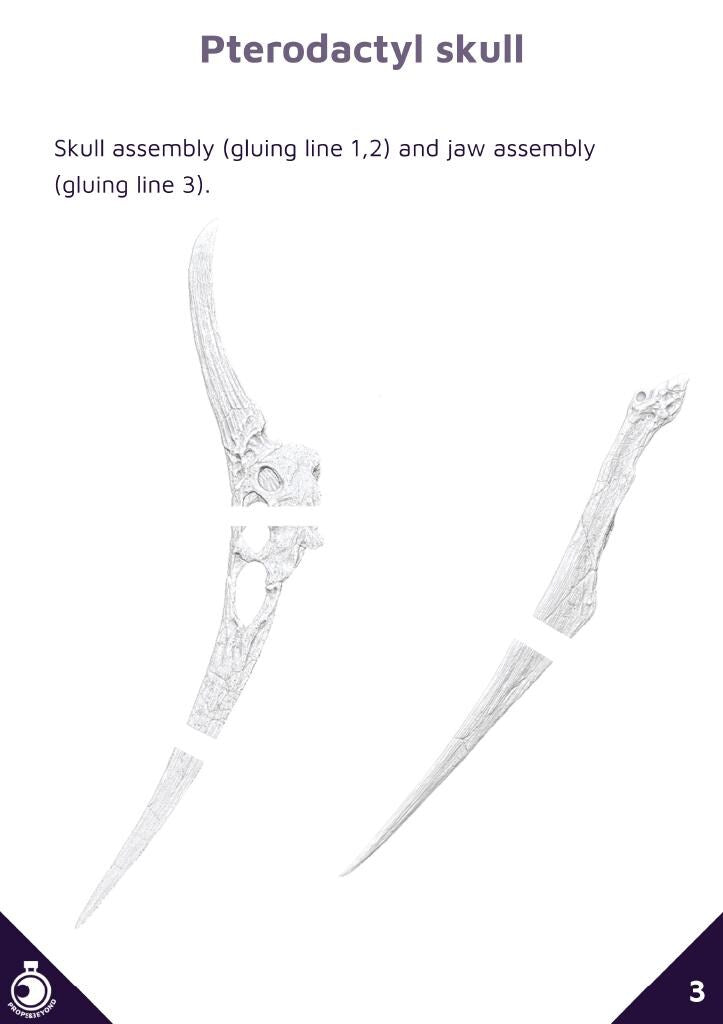 Pterodactyl Skull Trophy | Props & Beyond | Lost Sky Echoes | Cosplay Gear | Roleplay Gaming | Gamer Gift | Decor